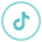 tiktok icon