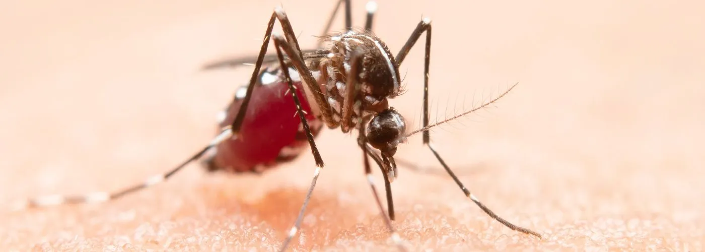 13 Hea;ltDigest - What is Severe Dengue