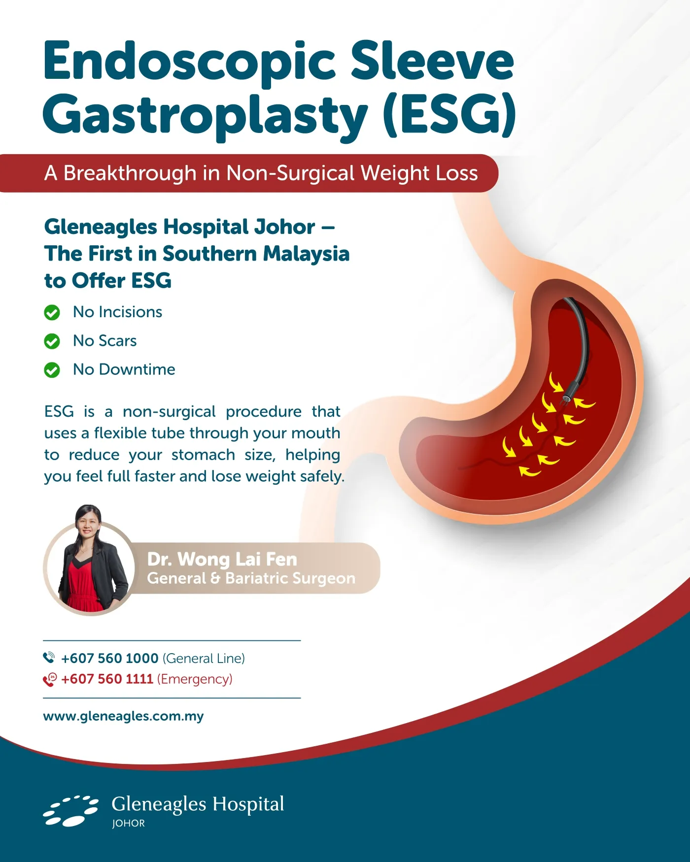 USG Package - Dr. Wong Lai Fen _ Gleneagles Hospital Johor_ Private Hospital - A4