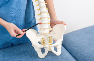 Spine specialist demonstrating a spinal model